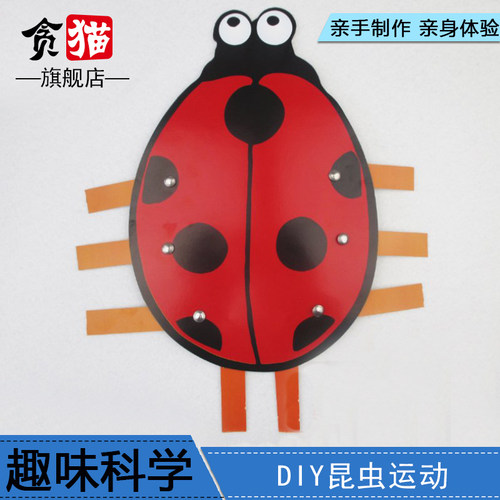 昆虫创客教育玩具套装科技小制作