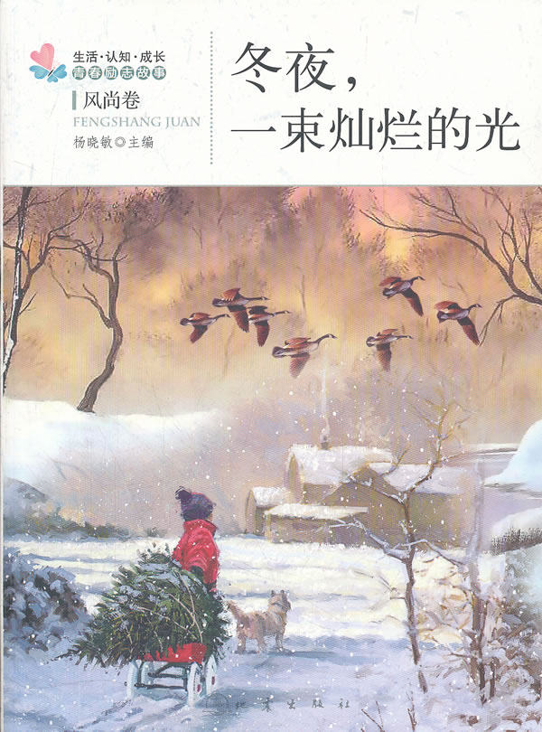 冬夜,一束灿烂的光 杨晓敏  地震出版社 9787502840105