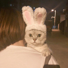 可爱兔子头套猫头套变身装猫咪头饰狗狗头套宠物帽子泰迪兔子耳朵