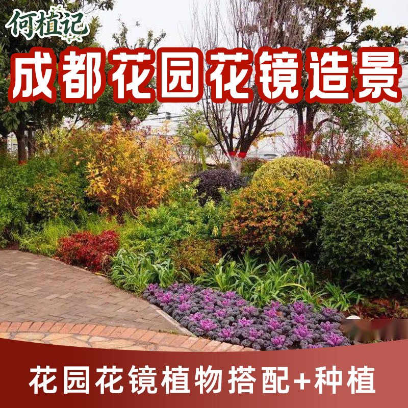 绿植造景植物花箱种植别墅庭院花园露台阳台花镜假山石头流水布置