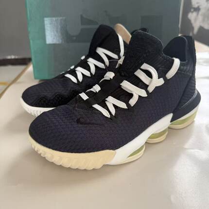 Nike LeBron 16 Low Black Python詹姆斯16代篮球鞋 CI2669-004