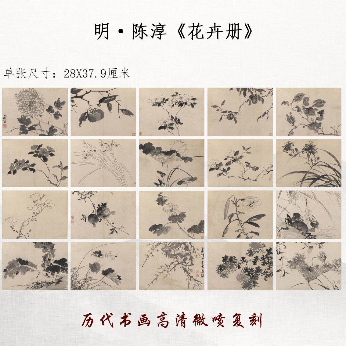 陈淳水墨花卉册国画仿古画宣纸高清微喷复制品临摹学习范本装饰画