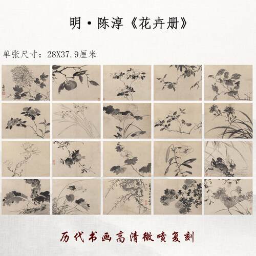 陈淳水墨花卉册国画仿古画宣纸高清微喷复制品临摹学习范本装饰画