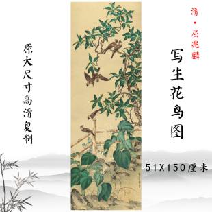 清屈兆麟写生花鸟图国画工笔画彩色临摹底稿高清复制玄关挂画装饰