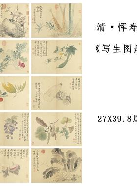 恽寿平写生花果册页国画仿古画真迹复制品宣纸临摹稿范本装饰画