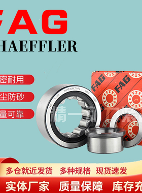 FAG德国进口滚子轴承RN NUP NF203 204 205 206 207 208E.M1.TVP2