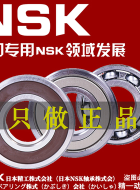 NSK日本进口轴承6016 6017 6018 6019 6020 6021 6022 6024ZZ CM
