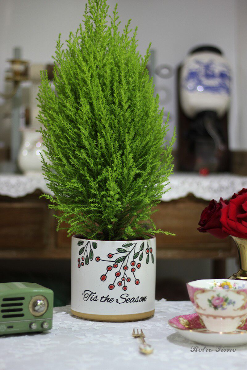 Retro外贸手绘红色果子花盆套盆浮雕北欧装饰摆件花艺摄影道具