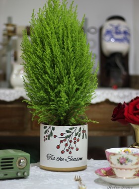 Retro外贸手绘红色果子花盆套盆浮雕北欧装饰摆件花艺摄影道具