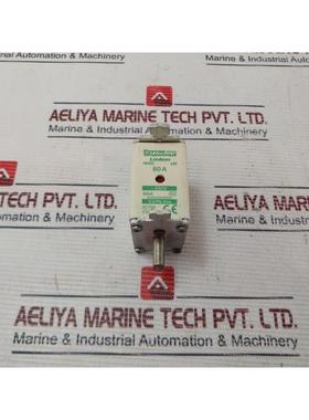 原装供应Ferraz Shawmut Linder F227866 保险丝 NH00 Am 80A 690