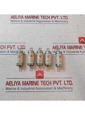 原装供应批量 5 个 Gec Alsthom TIA10 标准保险丝 10 安培