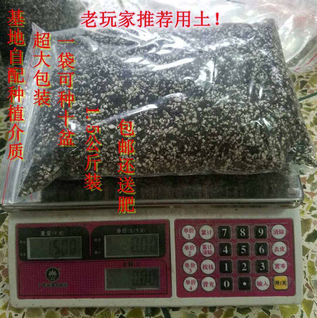 一朵基地山野草用土非铺面用土老玩家自配种植颗粒土介质缓释肥料