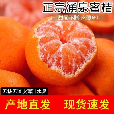 现摘发黄岩蜜桔新鲜桔子涌泉蜜桔