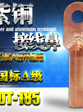DT-185mm 铜鼻185平方铜线鼻子 电线电缆耳 铜接线端子 国标A级
