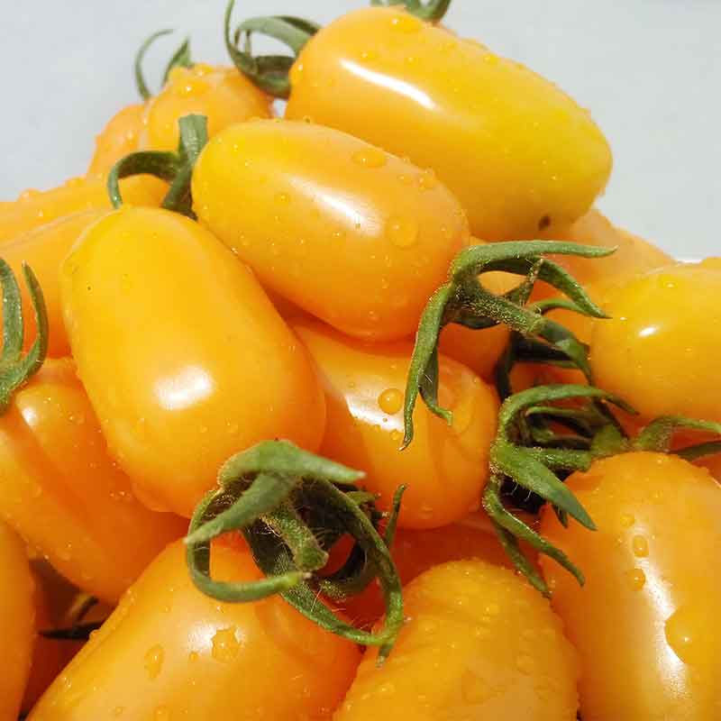 蒙綠娃聖女果內蒙古有機小番茄新鮮蔬菜西紅柿1700g 順豐包郵在類目 水產肉類/新鮮蔬果/熟食, 新鮮蔬菜/蔬菜製品, 新鮮蔬菜, 番茄中 - 來自Buy2taobao.com提供專業的淘寶代購服務
