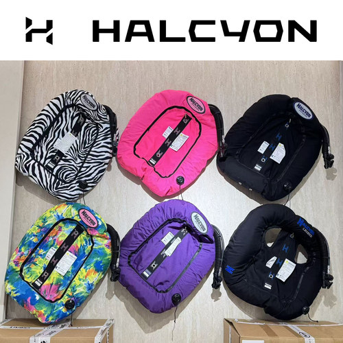 HALCYON Evolve 40磅双瓶浮力控制器潜水背飞技术洞穴潜水WING