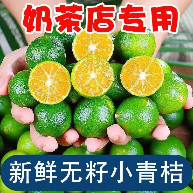 无籽小青桔】新鲜青桔奶茶店专用无籽小青柑非金桔小柠檬酸水果茶
