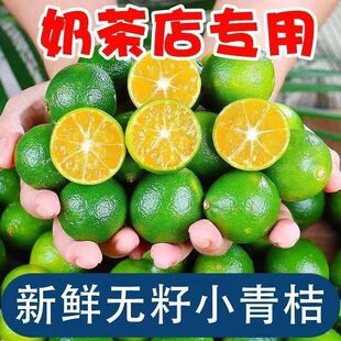 无籽小青桔】新鲜青桔奶茶店专用无籽小青柑非金桔小柠檬酸水果茶