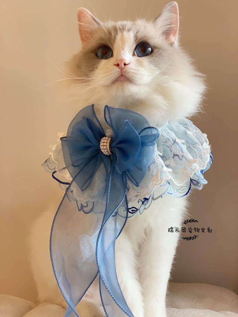 新款包邮猫咪围脖布偶猫宠物领结猫咪蝴蝶结口水巾围嘴狗狗圣诞节