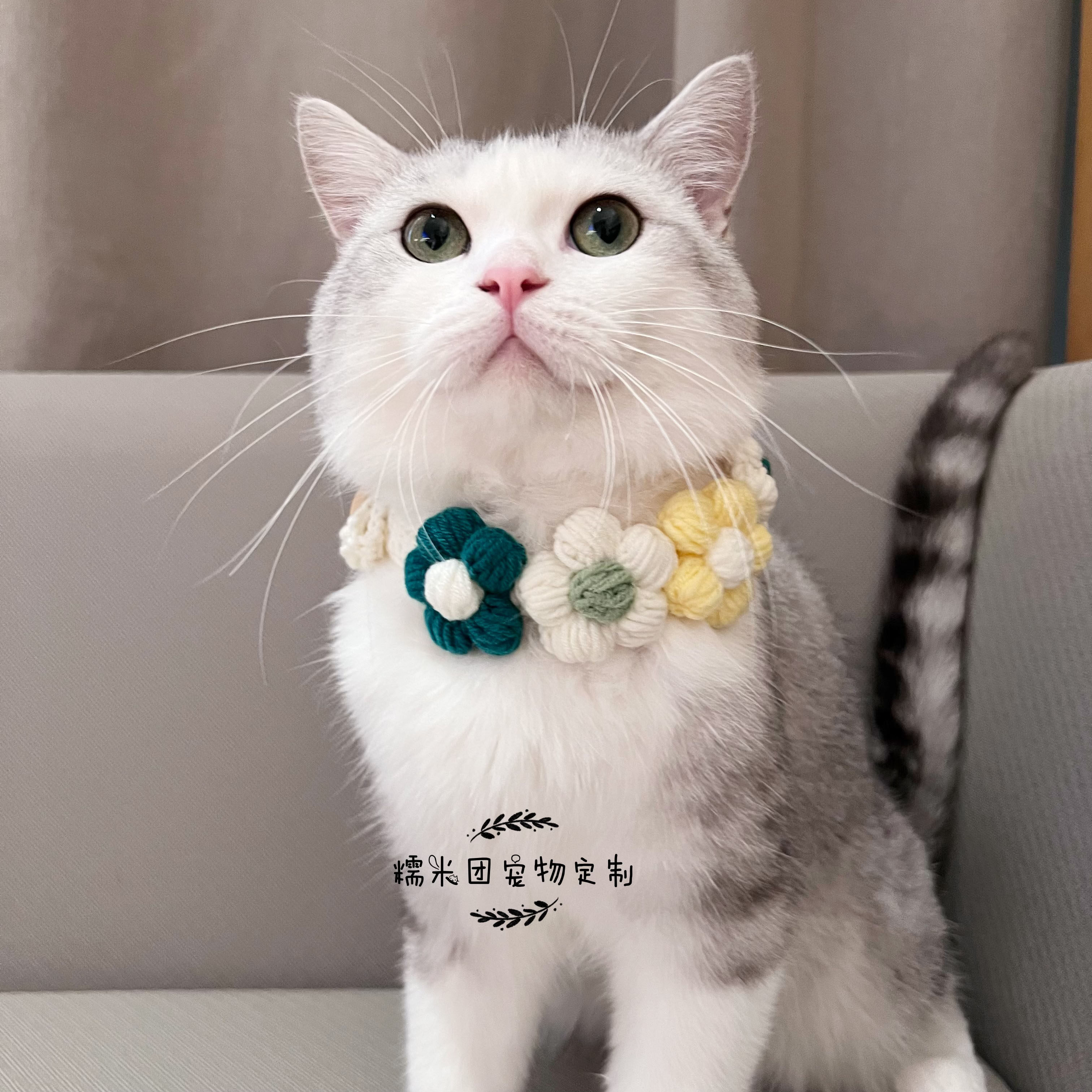 包邮手工毛线编织宠物围脖猫咪花朵项圈虎年狗狗生日饰品蝴蝶结