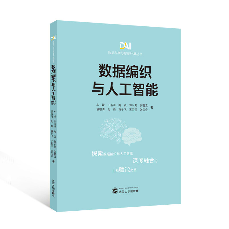 数据编织与人工智能 车嵘 王连清 陶波 郭乐勐 等著 9787307256767 数据科学与智能计算丛书
