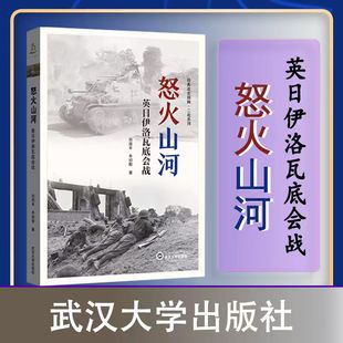 【旗舰正版 现货速发】怒火山河——英日伊洛瓦底会战 9787307247420 刘海丰，冬初阳 著