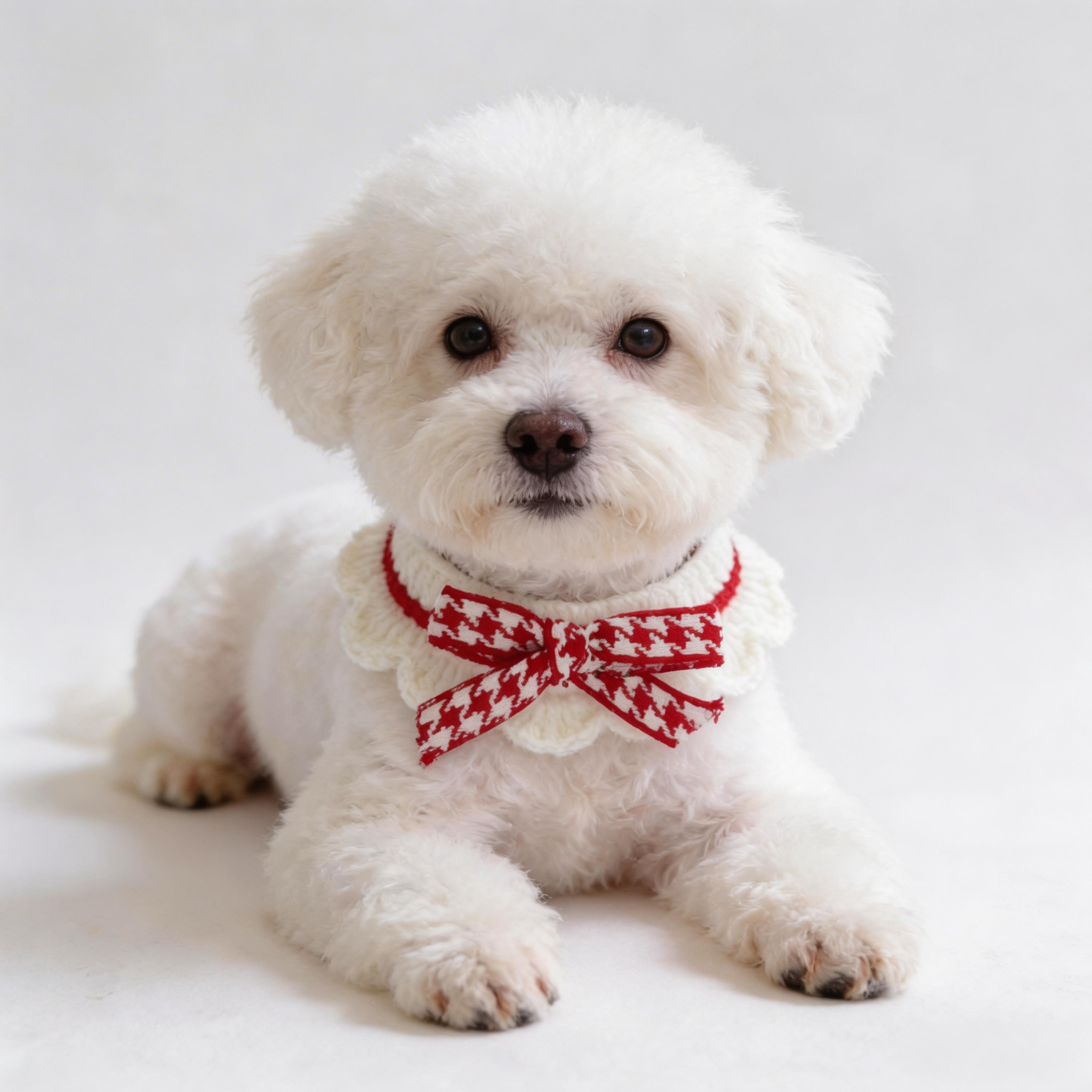 小狗狗宠物口水巾衣服小型犬猫咪围脖编织围兜领结可爱拍照装饰