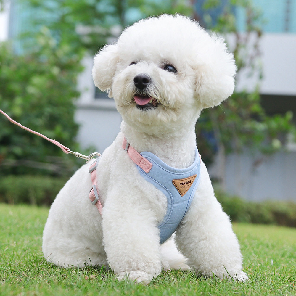 狗狗牵引绳可爱小型犬胸背轻盈无束缚胸背带户外防挣脱宠物牵引绳