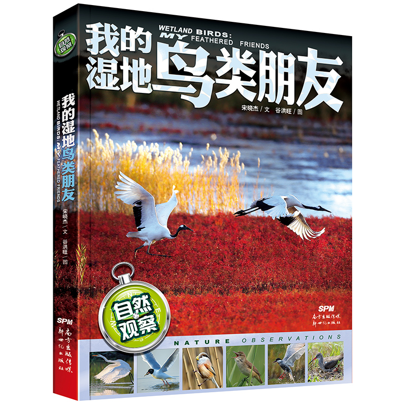 自然观察：我的湿地鸟类朋友2019暑期读一本好书 中小学生科普读物课外书 7-12-14岁少儿动物科普鸟类趣味知识百科