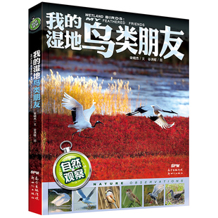 自然观察：我 中小学生科普读物课外书 14岁少儿动物科普鸟类趣味知识百科 湿地鸟类朋友2019暑期读一本好书