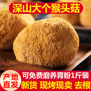25年猴头菇干货新鲜500g精选古田菌菇纯天然养胃早餐粉非东北野生