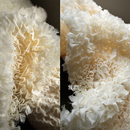 设计师布料面料改 饰服装 原创米黄色立体重肌理面料改造装 珊瑚礁