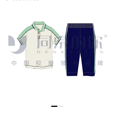 两天发货【上海市嘉定区春申中学】同桌的你夏季运动装短袖裤班服