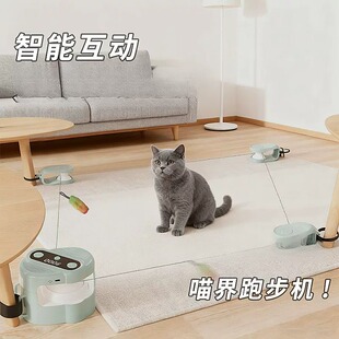 自动追逐器猫咪宠物追逐器宠物玩具毛毛虫猫互动逗猫球电动玩具猫
