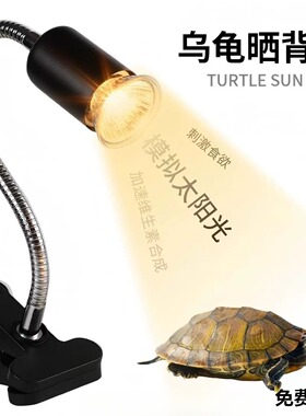 养乌龟专用灯乌龟晒背灯全光谱爬宠陆龟蜥蜴太阳爬虫保温uvb补钙