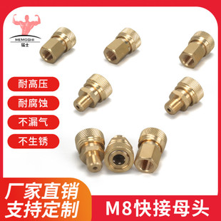 10MM 高压40mpa打气泵30mpa维修配件高压软管8MM母头 1快接头母头