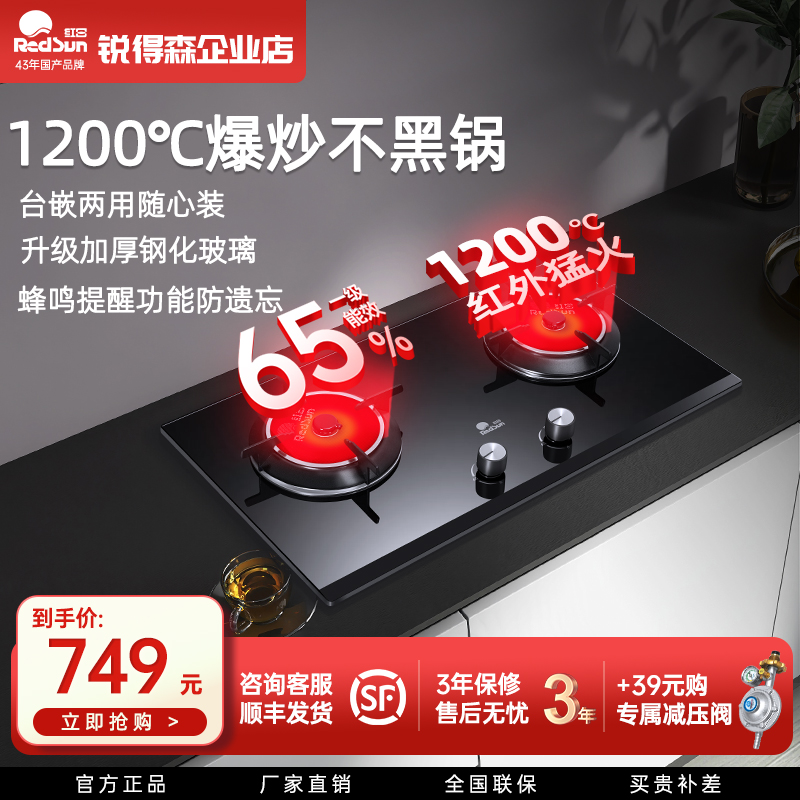 红日红外线台嵌两用双灶