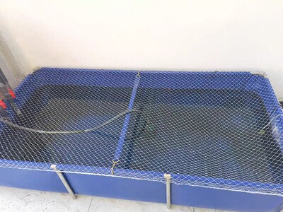 帆布鱼池防跳网长方形网罩
