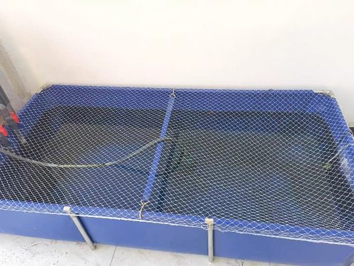 帆布鱼池防跳网长方形网罩
