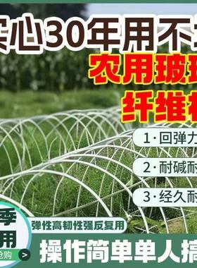 农用大小拱棚支架蔬菜种植大棚内棚保温骨架实心玻璃纤维杆tk工厂
