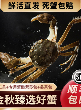 【净重4.0两母6只】大闸蟹鲜活现货红膏蟹螃蟹无绳裸蟹可搭5两公
