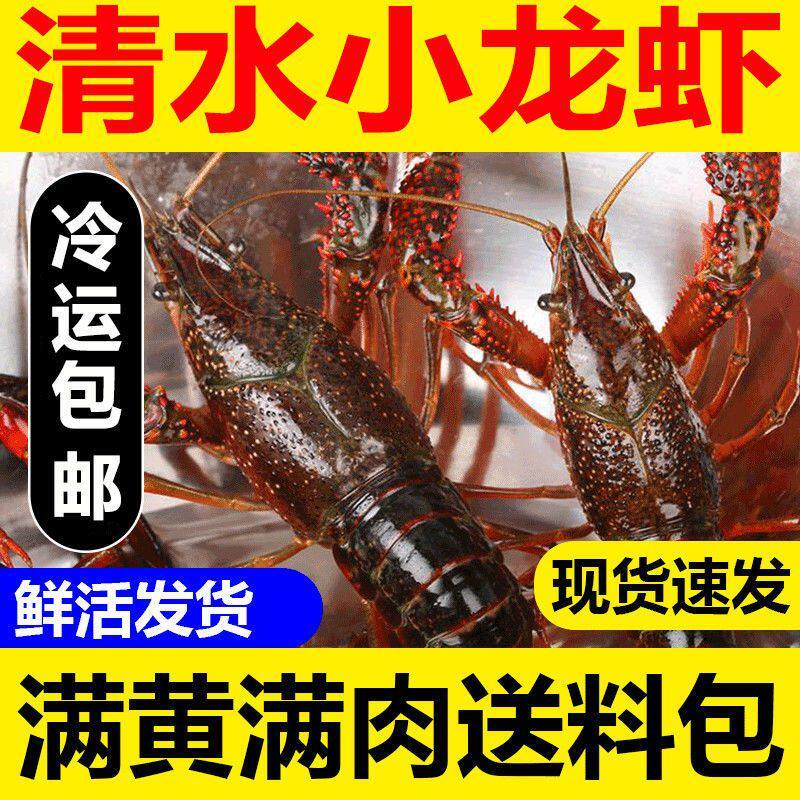 【大青5斤】清水虾小龙虾鲜活新鲜活虾批发大虾满肉青龙满肉