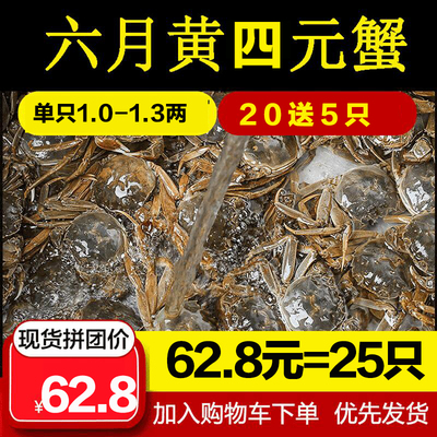 抢25只四元蟹1.0-1.2两大闸蟹