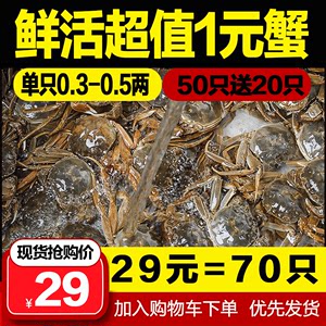 抢70只小螃蟹鲜活小海鲜