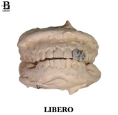 grillz 老虎镶钻系列 嘻哈珠宝牙套定制 牙套 LIBERO