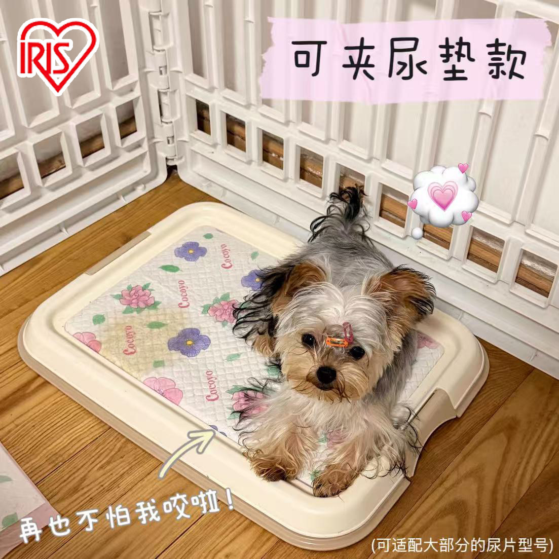 爱丽思狗狗厕所宠物尿尿盆便盆小型犬专用爱丽丝固定尿垫小狗厕所,宠物/宠物食品及用品,狗厕所,淘宝优惠券,粉丝福利购,淘宝优惠卷