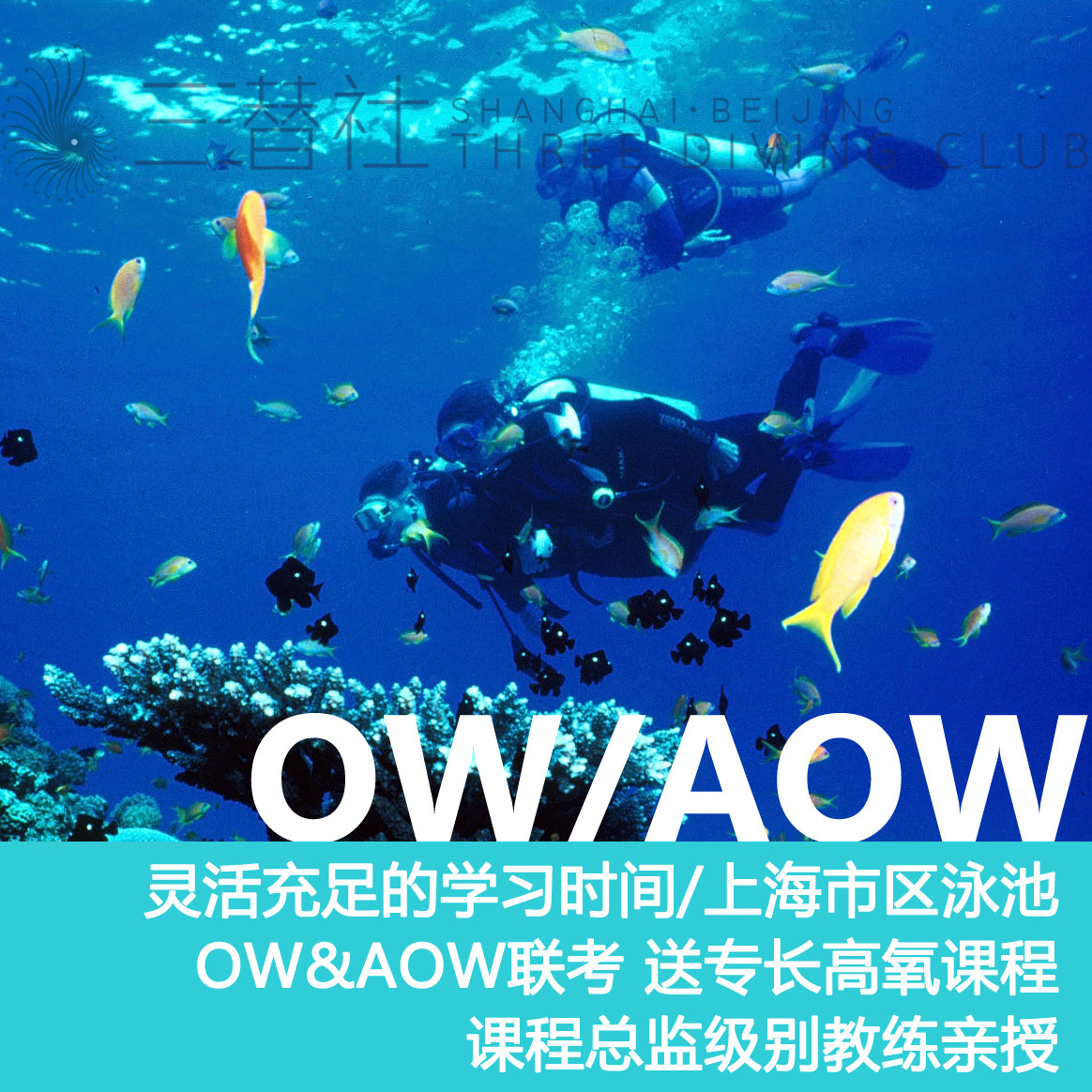 【三潜社潜水教学】PADI执照水肺OW AOW课程上海市区上课国外开水