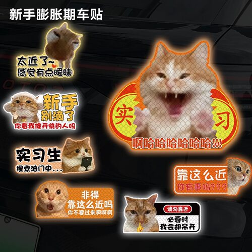 猫meme新手膨胀期车贴磁吸女司机实习期可爱耄耋猫咪装饰反光贴纸