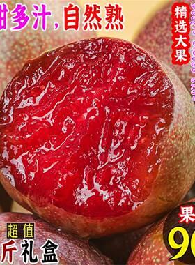 新疆味帝恐龙蛋李子新鲜水果红心