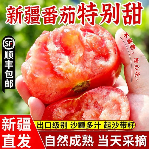 新疆沙瓤西红柿应季新鲜生吃